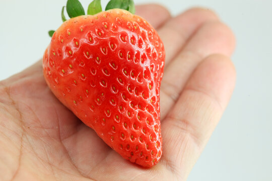 手里拿着的新鲜草莓