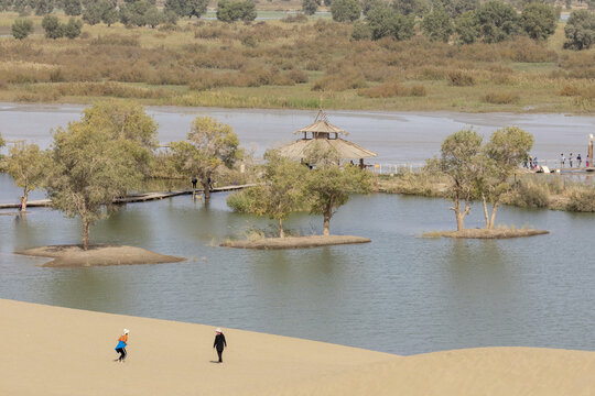 沙漠胡杨林塔里木河自然风景