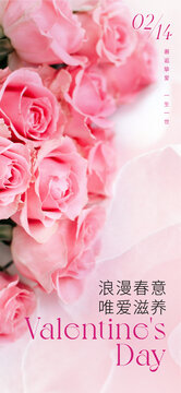 粉色玫瑰情人节海报
