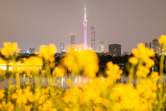 广州塔地标建筑与油菜花风景