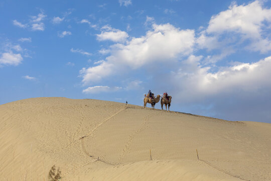 蓝天白云衬托沙漠与骆驼