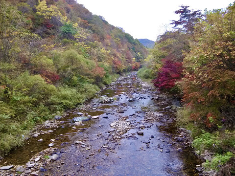 溪水流淌在深秋中