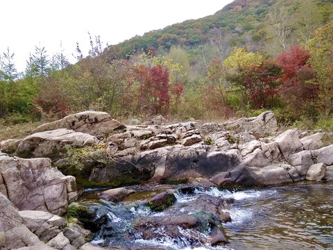 秋天的溪水