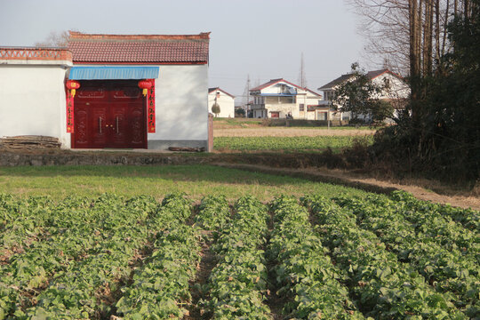 农村风貌