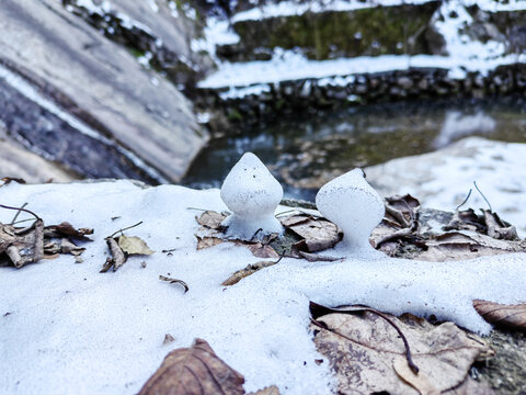 积雪