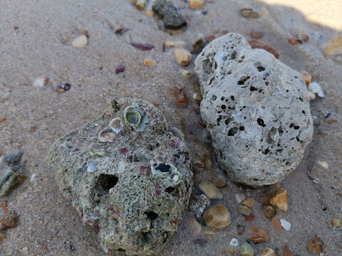 海边骷髅石