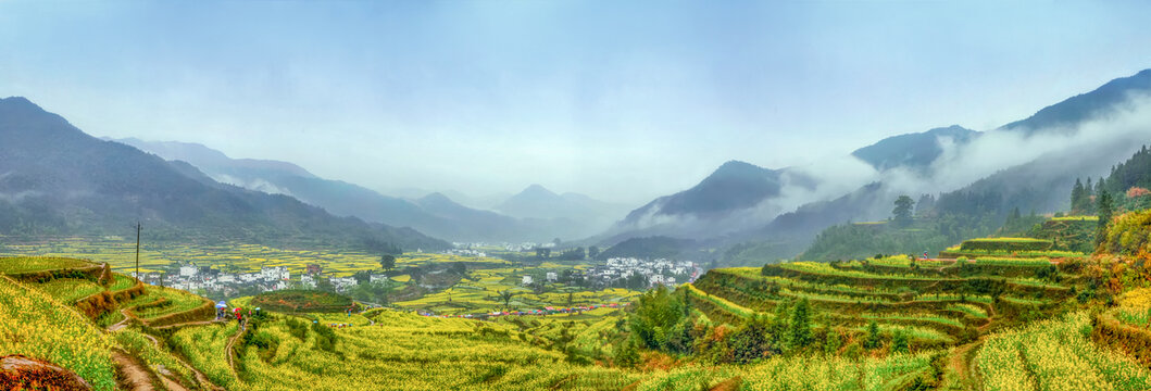 婺源江岭村油菜花全景图