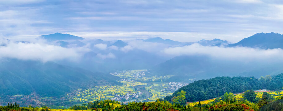 婺源江岭村云海油菜花全景图