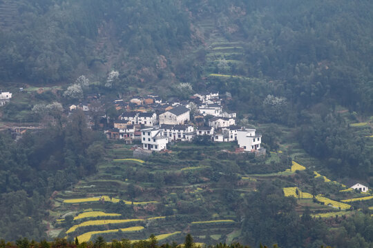 婺源江岭村