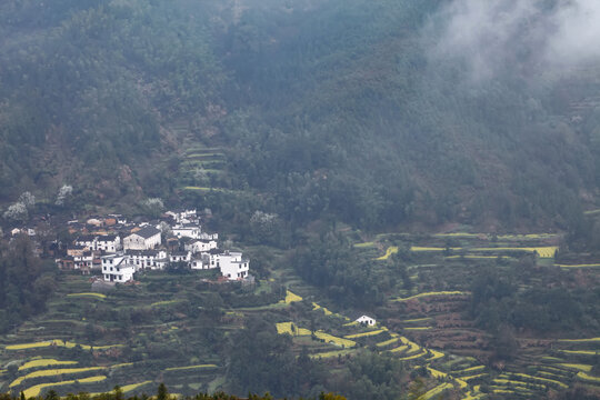 婺源江岭村