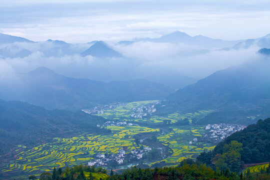 婺源江岭村油菜花