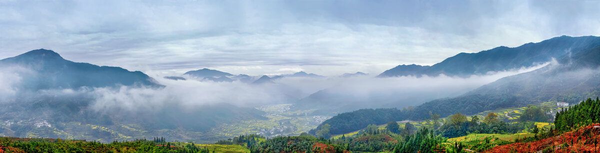 婺源江岭村云海油菜花全景图