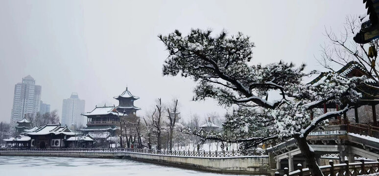 迎泽园春雪