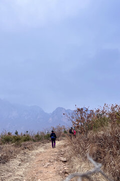 走进大山