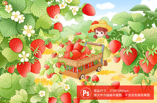 草莓包装插画