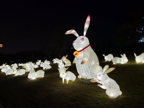 兔子群花灯