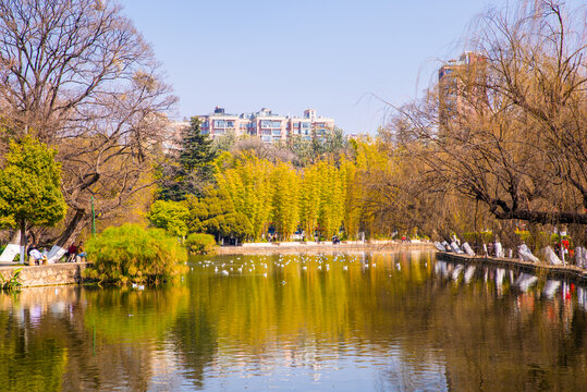 昆明翠湖公园