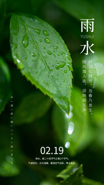 树叶水珠雨水海报