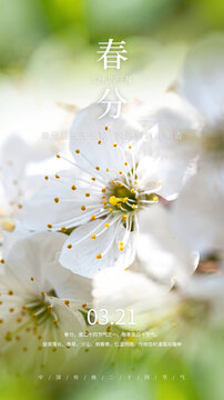 开花春分海报