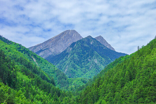 九寨沟原始森林