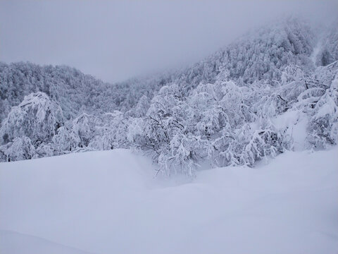 西岭雪山