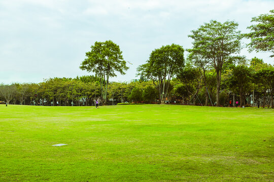 顺德顺峰山公园凤凰草坪