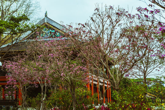 顺德顺峰山公园汀芷楼