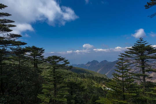 昆明轿子山风光