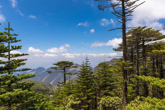 昆明轿子山风光