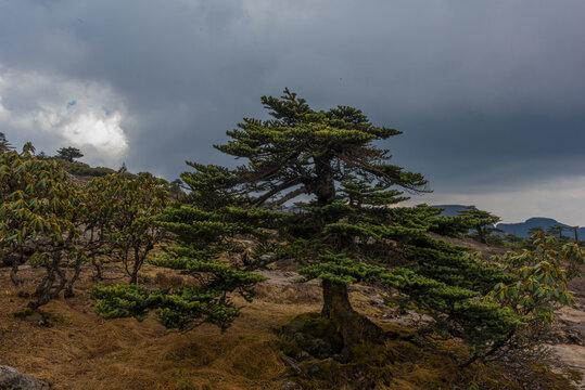 高山风光