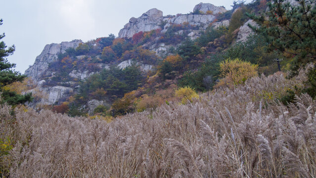 青岛崂山长涧峡谷风光