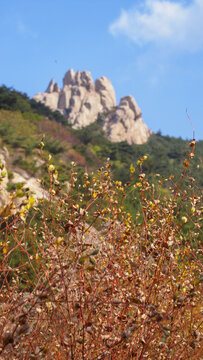 青岛崂山长涧峡谷风光