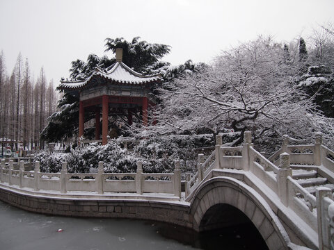 山东青岛湛山寺雪景