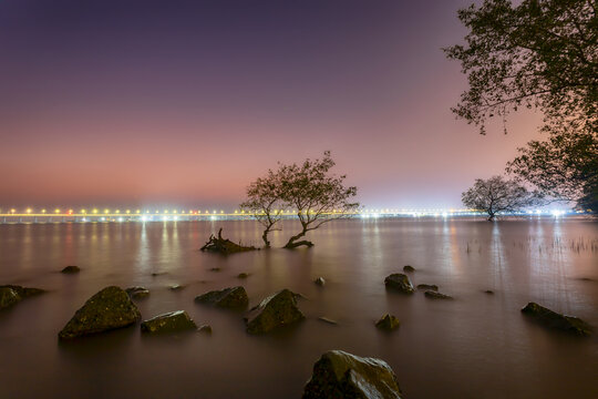 深圳西湾红树林夜景
