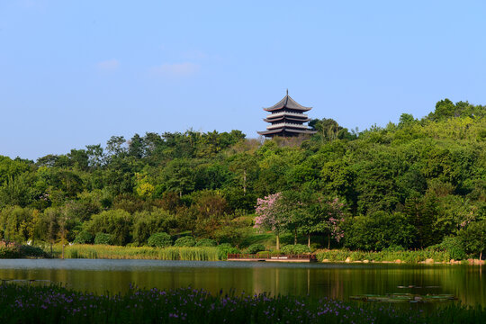 森林古寺