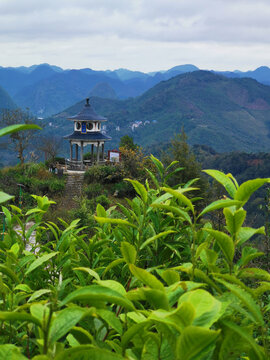 茶山古塔