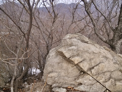 岩石与冬天的树林