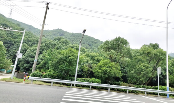 道路