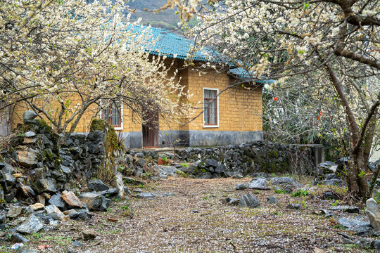 乡村土坯房子