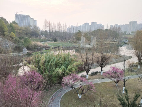 桃花