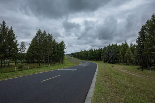 树林间的公路