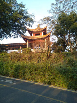 仙湖植物园弘法寺景区景观拍摄