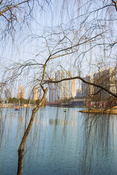 湖边风景