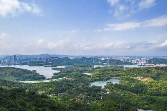 深圳仙湖植物园