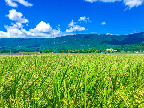 台湾绿岛