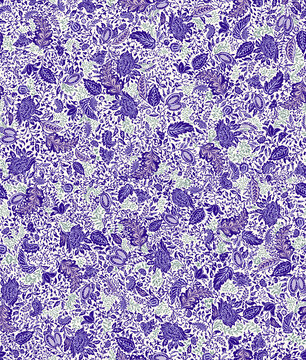 米底紫色树叶