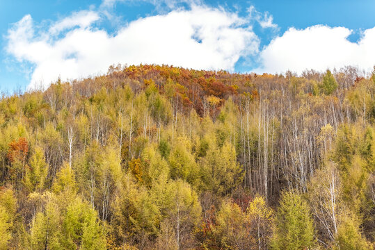 秋天的山林与蓝天白云
