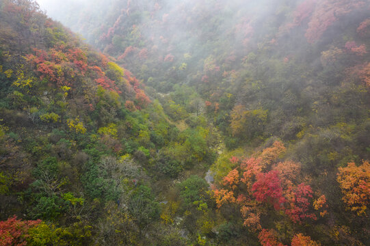 秦岭雾景