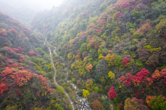 雾绕秦岭