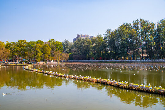 昆明翠湖风景